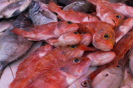 Fresh fish on the fish market in Morocco in Essaouira