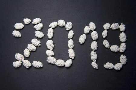 2019 Text made from white peanuts in sugar on black paper background. Powdered sugar balls similar...
