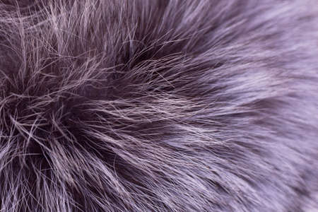 Natural animal fur macro.の写真素材