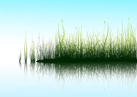 Green grass and blue sky with reflection in water のイラスト素材