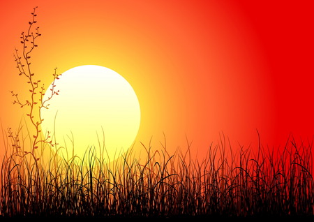 Magic sunset with dark grass and single treeのイラスト素材