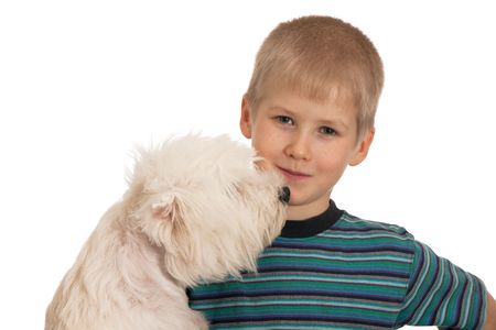 A boy and a west highland white terrier; isolated on the white backgroundの写真素材