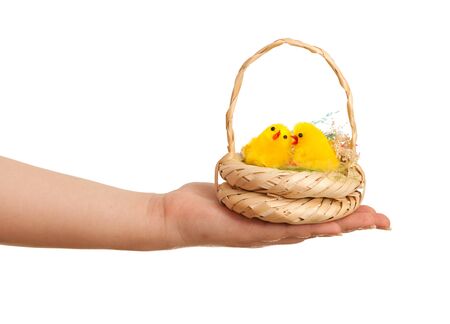 A hand is holding an easter basket; isolated on the white backgroundの写真素材