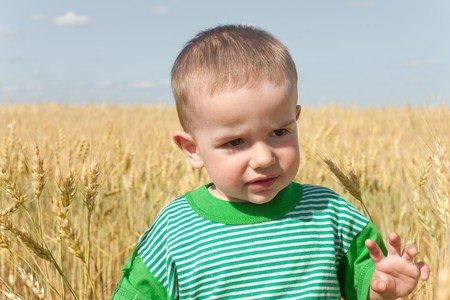 A thoughtful little boy is standing in the field of wheatの写真素材
