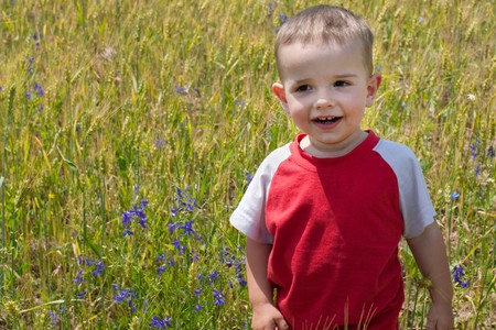 A smiling little boy is standing in the summer meadowの写真素材