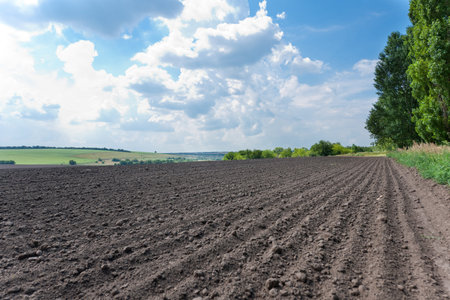 A landscape with plowed field and cloudy blue sky