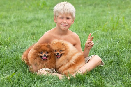 A sitting on the grass boy is hugging his petsの写真素材