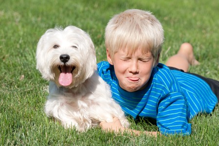 A handsome boy and his white dog are lying on the green meadow with their pink tongues outの写真素材