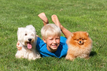 A boy and his pets are lying on the grassの写真素材