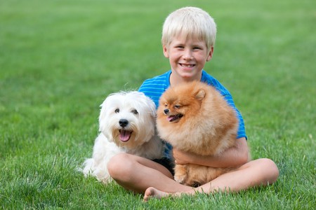 A boy and his pets are sitting on the green grassの写真素材