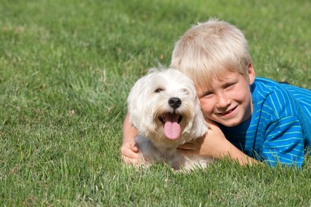 A lying on the grass smiling boy is hugging his petの写真素材