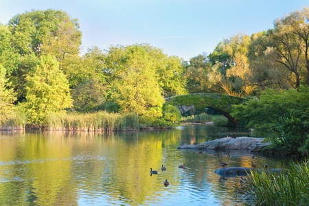 View of the pond in the New-York central park; GPS information is in the fileの写真素材