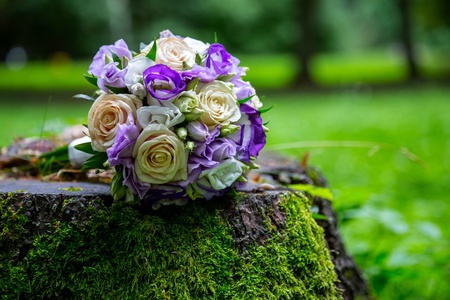 Bride s Wedding Bouquet on the stump in a forestの写真素材