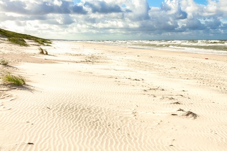 White sand beach. View to the Baltic Sea Costline. Curonian Spit, Nida, Neringa, Lithuaniaの写真素材