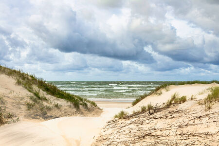 Sand dunes on the Baltic sea coastline in Nida  Lithuaniaの写真素材