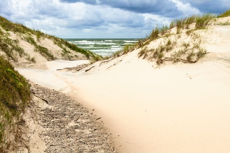 Sand dunes on the Baltic sea coastline in Nida  Lithuaniaの写真素材