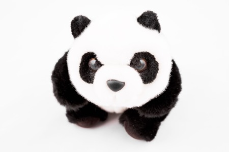 Panda teddy bear stuffed toy on white backgroundの写真素材