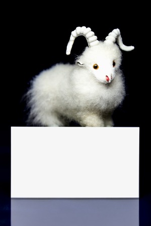 White goat or sheep toy the Chinese symbol of 2015 year with greeting blank card on black backgroundの写真素材
