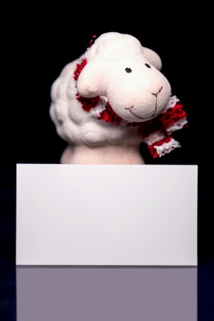 White sheep toy the Chinese symbol of 2015 year with greeting blank card on black backgroundの写真素材