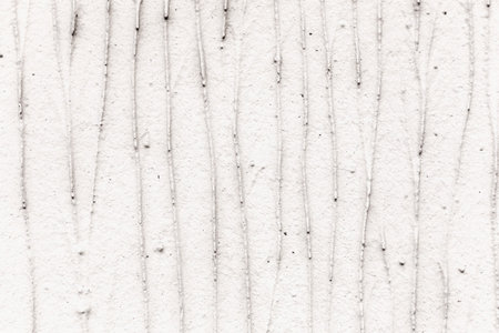 Grunge plaster cement or concrete wall texture white and gray color