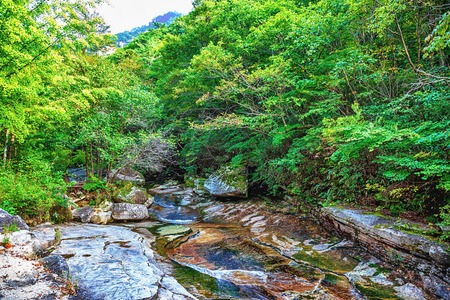 River with rocks and stones in mountain forest in South Koreaの写真素材