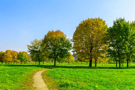 Autumn Nature with Footpath and Colorful Trees on Field in Sunlightの写真素材