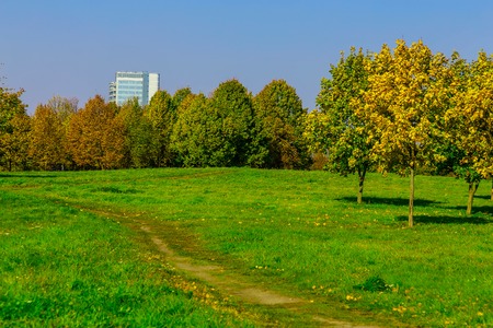 Autumn Nature in City Park with Colourful Trees and Footpath Among Green Grass at Sunny Dayの写真素材