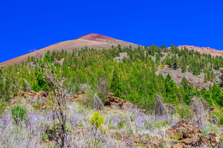Mountains landscape on Tenerife Canary island in Spain at Day with Blue Skyの写真素材