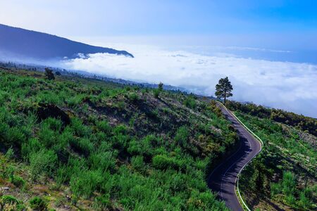 Landscape with Asphalt Road and Sky on Canary Island at Dayの写真素材