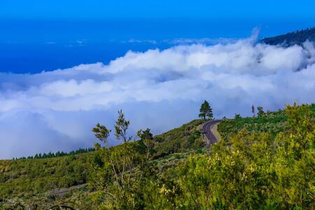 Landscape with Asphalt Road and Sky on Tenerife Canary Island at Dayの写真素材