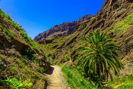 Landscape with pathway in Mountains and Blue Sky on Tenerife Canary Islandの写真素材