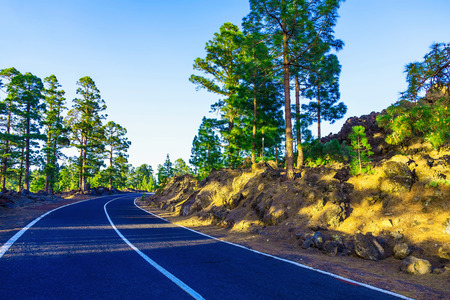 Landscape with Asphalt Road and Mountains with Sky on Tenerife Canary Island at Dayの写真素材