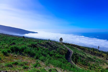 Landscape with Asphalt Road and Sky on Tenerife Island at Dayの写真素材