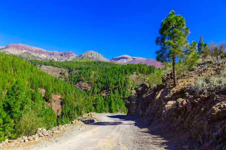 Landscape with footpath in Mountains and Blue Sky on Canary Island in Spain at Dayの写真素材