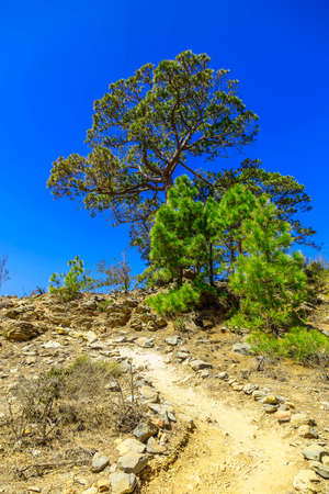 Landscape with footpath in Mountains and Blue Sky on Canary Islandの写真素材