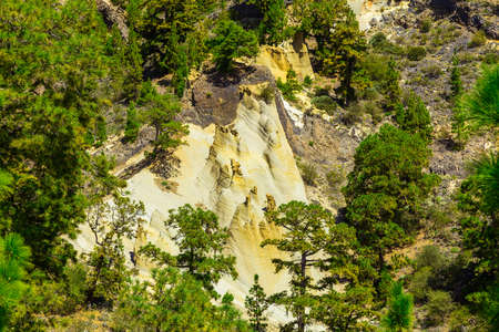 Green Forest with Fir Trees on Mounains. National Landmark named as Moon Landscape on Tenerife Canary Island in Spainの写真素材