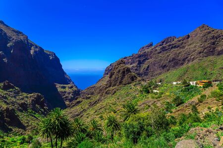 Small Village and Buildings in Green Mountains Landscape on Tenerife Island at Dayの写真素材