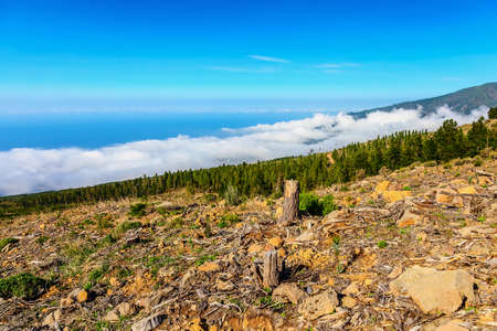 Landscape with Blue Sky and Clounds on Tenerife Island in Spain at Dayの写真素材