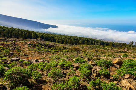 Landscape with Blue Sky and Clounds on Tenerife Island in Spain at Dayの写真素材