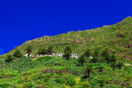 Small Village and Buildings in Green Mountains Landscape on Canary Island in Spainの写真素材