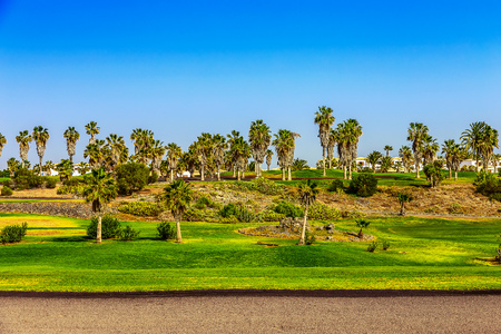 Golf Field Landscape on Tenerife Canary Island in Spainの写真素材