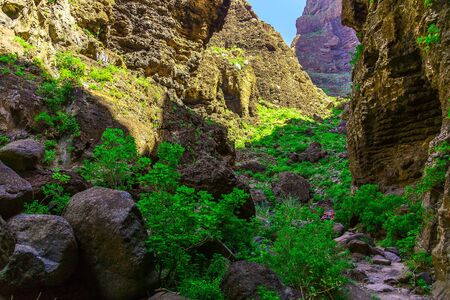 Rocky Mountains on Tenerife Canary island in Spain at Dayの写真素材