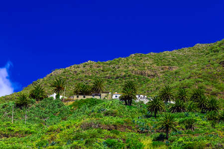 Small Village and Buildings in Green Mountains Landscape on Tenerife Islandの写真素材
