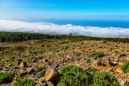 Landscape with Blue Sky and Clounds on Tenerife Island in Spain at Dayの写真素材