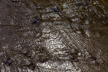 Stones on Dark Sand in Water Abstract Background with Sun Reflectionの写真素材