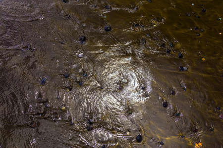 Stones on Dark Sand in Water Abstract Background with Sun Reflectionの写真素材