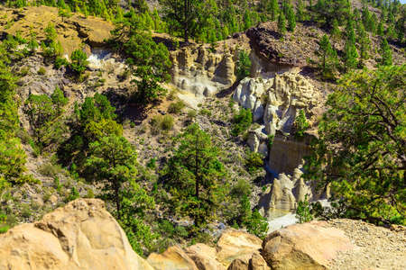Green Forest with Fir Trees on Mounains. National Landmark named as Moon Landscape on Tenerife Canary Island in Spainの写真素材