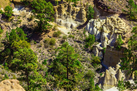 Green Forest with Fir Trees on Mounains. National Landmark named as Moon Landscape on Tenerife Canary Island in Spainの写真素材