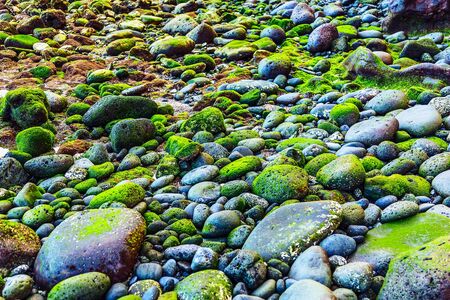 Green Stones with Moss Natural Abstract Backgroundの写真素材