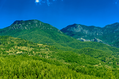 View on Green Mountain with Trees in Alanya, Turkeyの写真素材